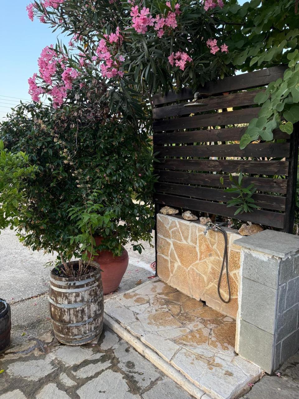 Nikos & Panagiota